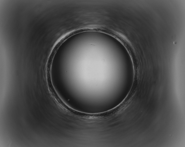X0000085041412200703051340