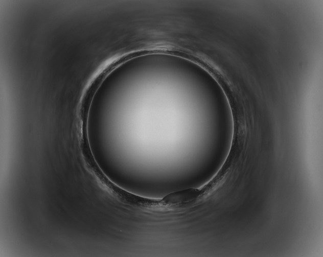 X0000085041414200703051340