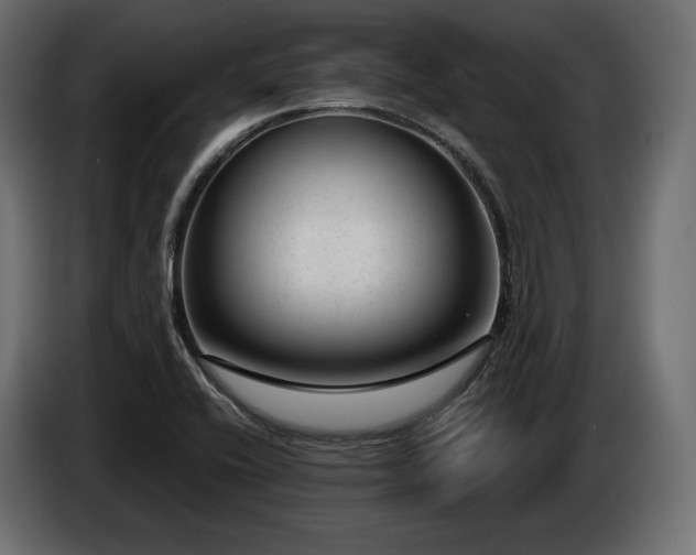 X0000085041416200703051340