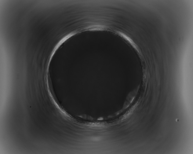 X0000085041418200703051340