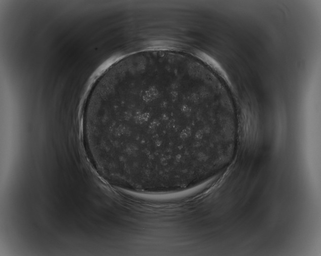 X0000085041419200703051340