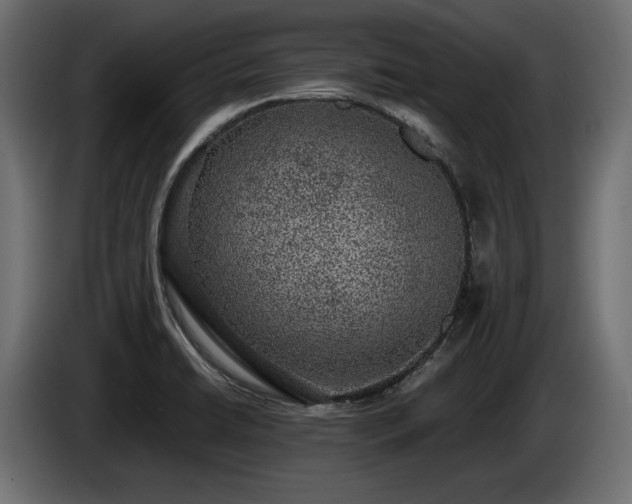 X0000085041422200703051340