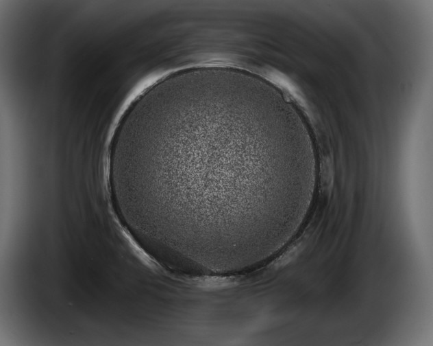 X0000085041424200703051340