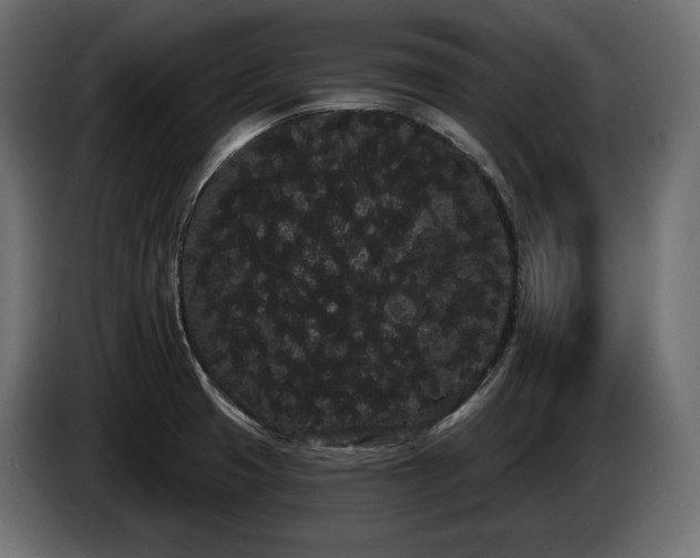 X0000085041425200703051340