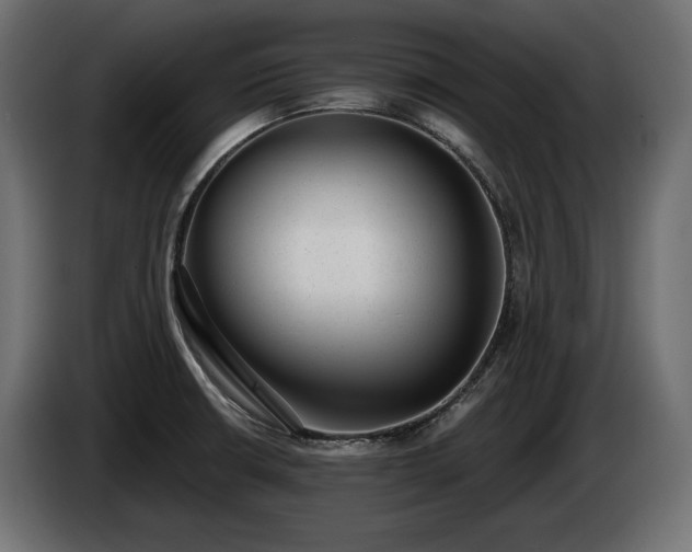 X0000085041426200703051340