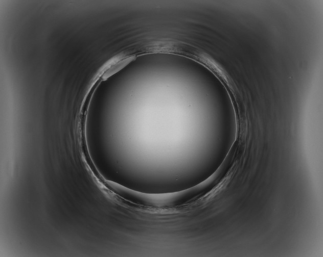 X0000085041434200703051341