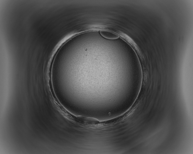 X0000085041435200703051341