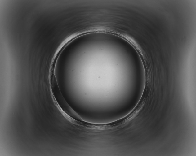 X0000085041438200703051341