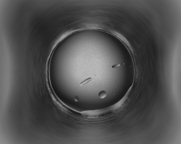 X0000085041439200703051341