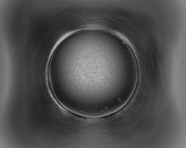 X0000085041440200703051341