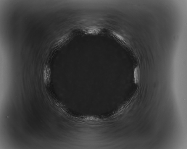 X0000085041443200703051340