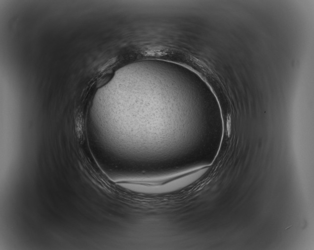 X0000085041444200703051340