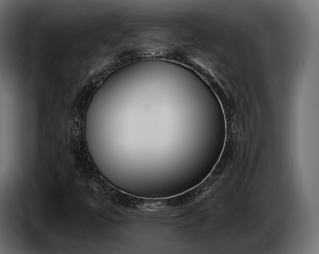 X0000085041447200703051340
