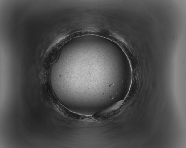 X0000085041448200703051340