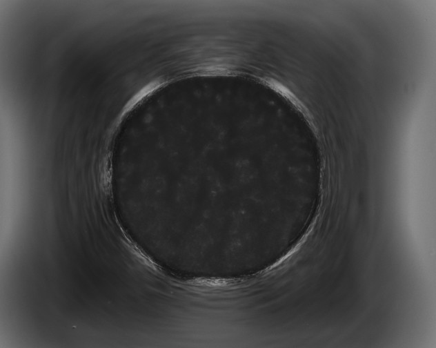 X0000085041450200703051340