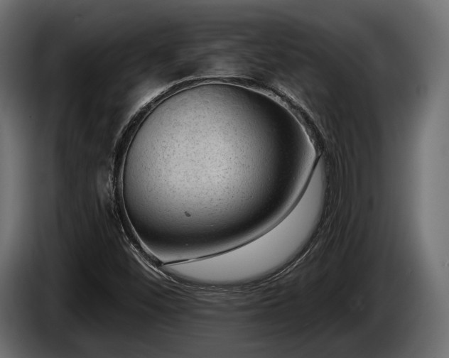 X0000085041452200703051340