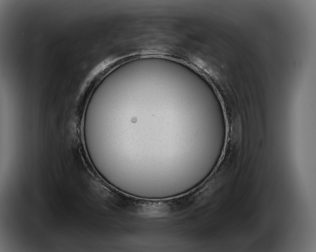 X0000085041454200703051340