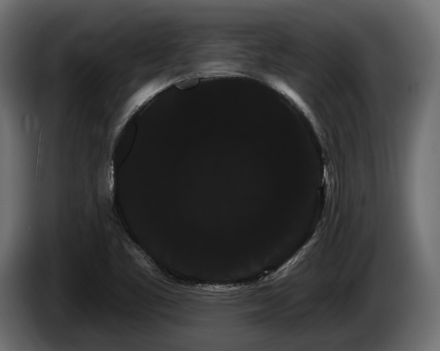 X0000085041461200703051339
