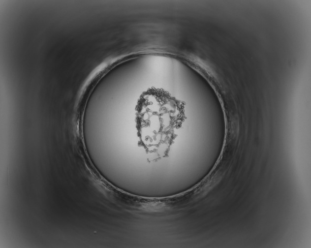 X0000085041462200703051339