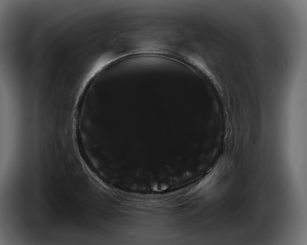 X0000085041463200703051339