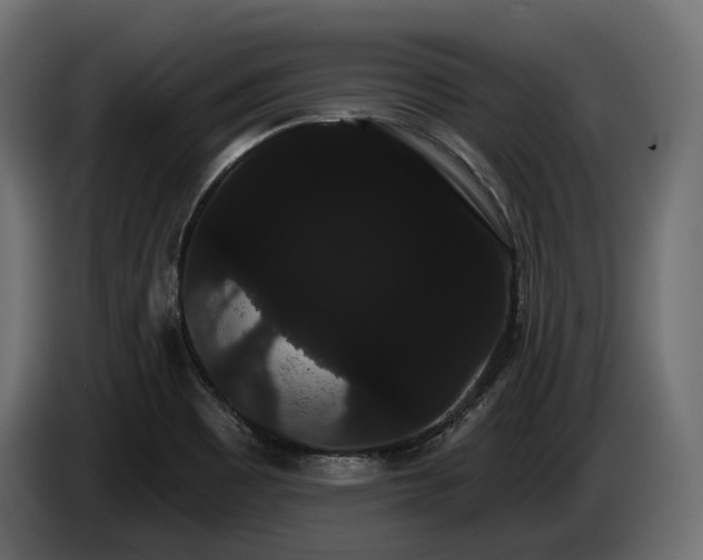 X0000085041465200703051339