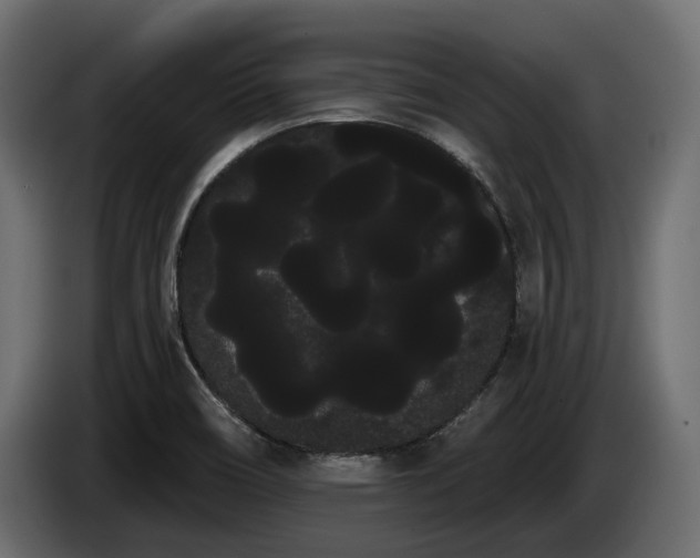 X0000085041466200703051339