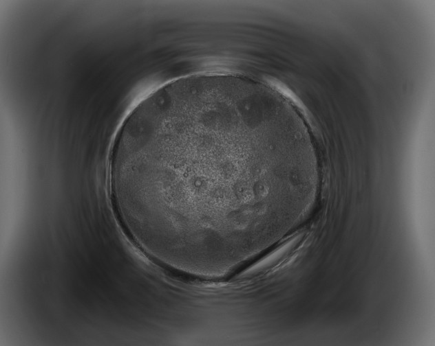 X0000085041467200703051339