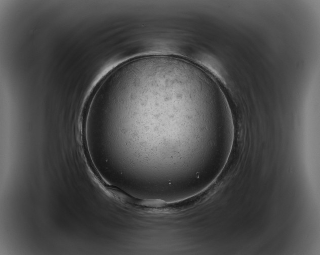X0000085041468200703051339