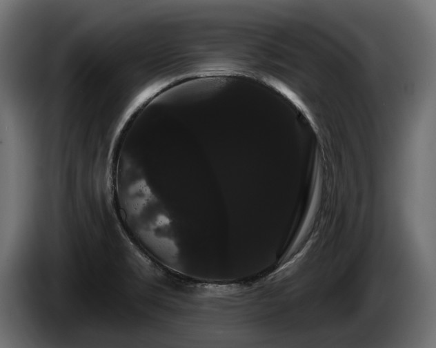X0000085041469200703051339