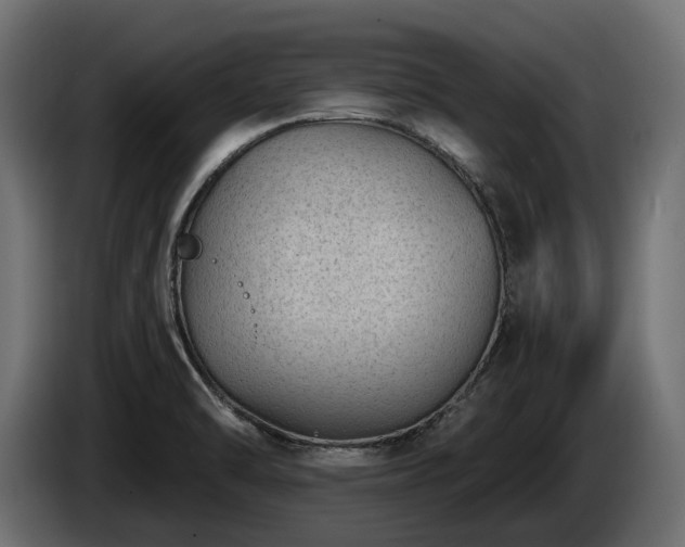 X0000085041470200703051339
