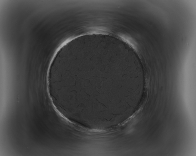 X0000085041471200703051339