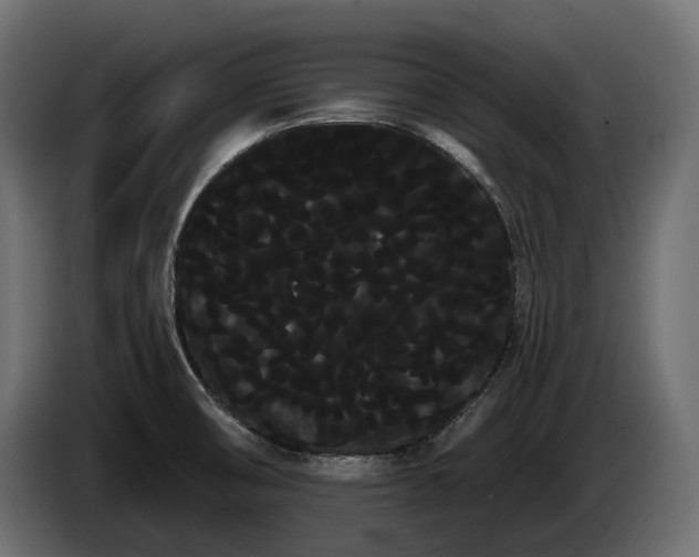 X0000085041474200703051339