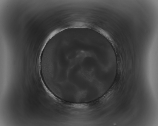 X0000085041479200703051339