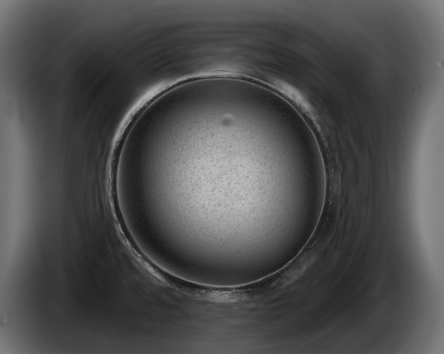 X0000085041480200703051339
