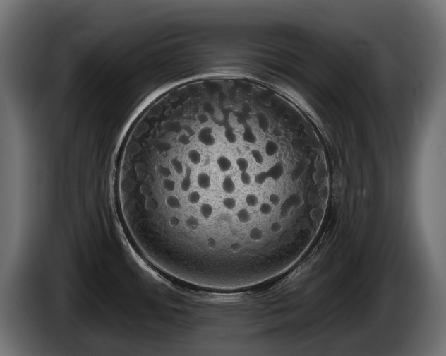X0000085041484200703051339