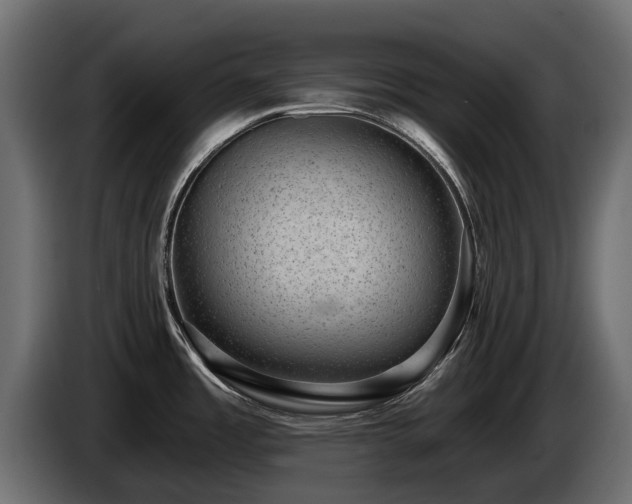 X0000085041485200703051339