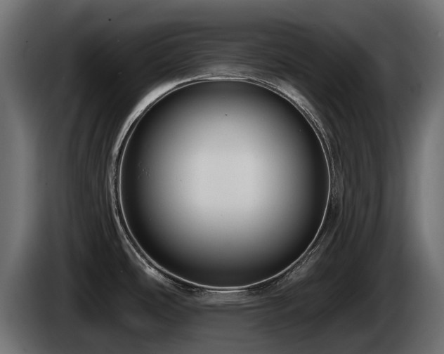 X0000085041486200703051339