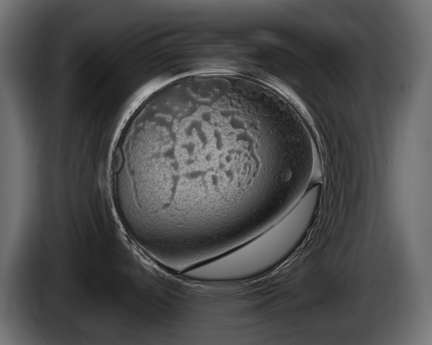 X0000085041488200703051339