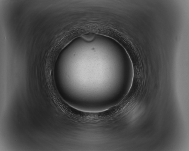 X0000085041489200703051338
