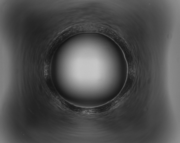 X0000085041490200703051338