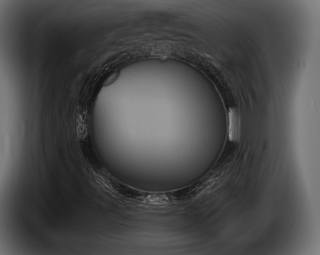 X0000085041491200703051338