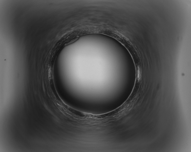 X0000085041492200703051338