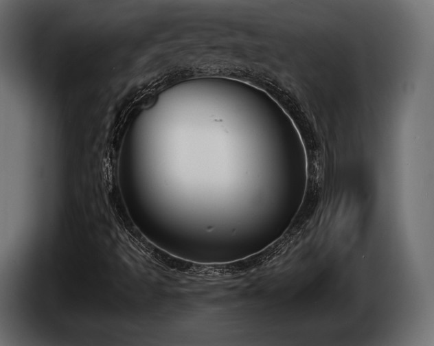 X0000085041493200703051338