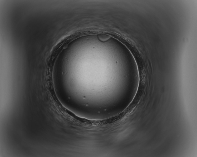 X0000085041494200703051338