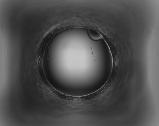 X0000085041495200703051338