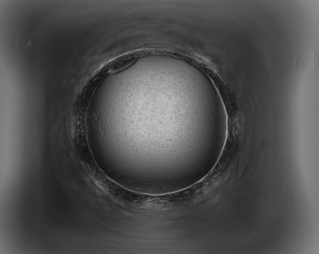 X0000085041496200703051338