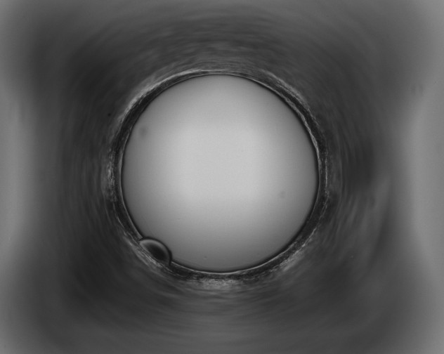 X0000085041498200703051338