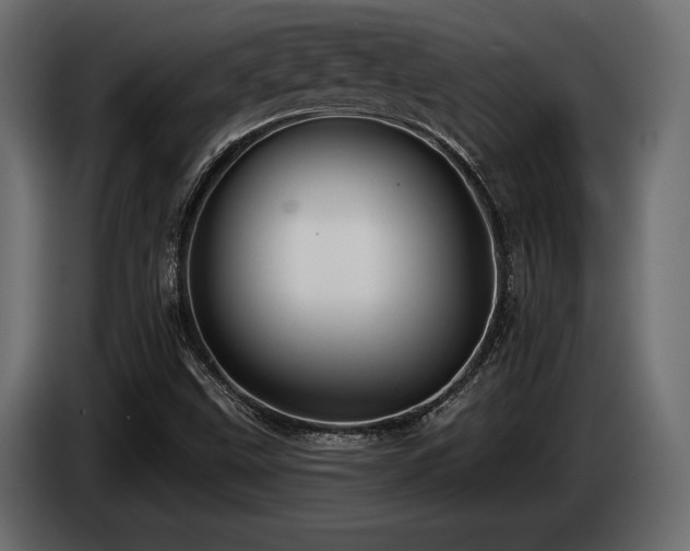 X0000085041499200703051339