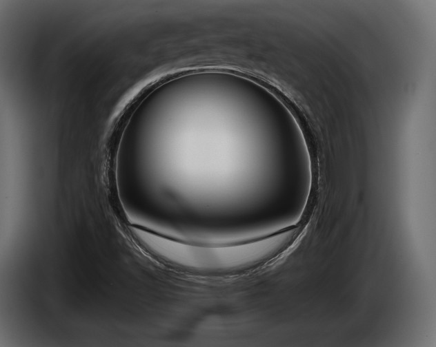 X0000085041502200703051339