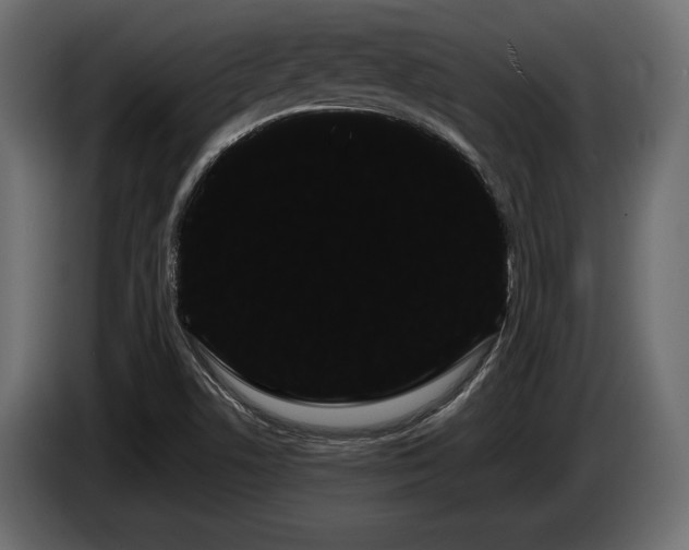 X0000085041506200703051339